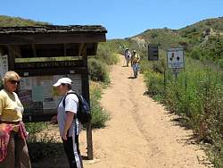 IMG_5649.jpg