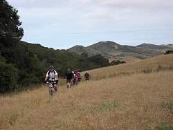 IMG_1243.jpg