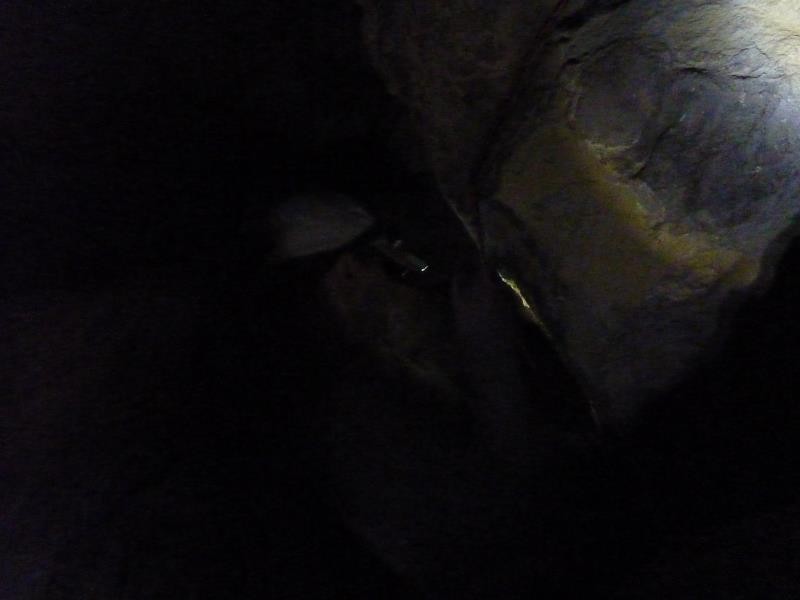 P1080020.jpg