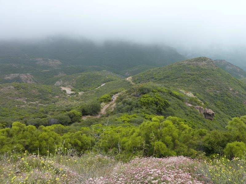 P1080087.jpg
