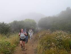 IMG_5926.jpg