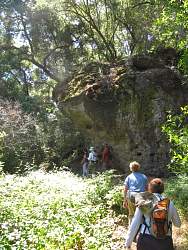 IMG_6379.jpg
