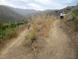 IMG_6687.jpg