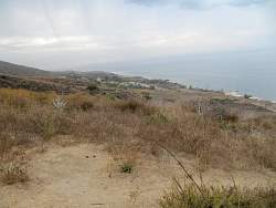 IMG_6688.jpg