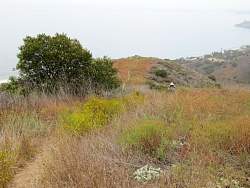 IMG_6691.jpg