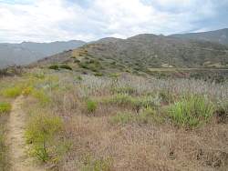 IMG_6693.jpg