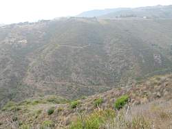 IMG_6695.jpg