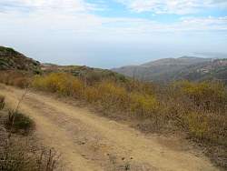 IMG_6699.jpg