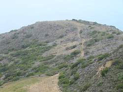 IMG_6702.jpg