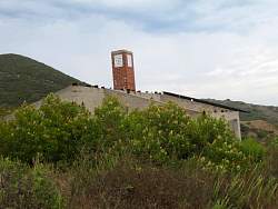 IMG_6703.jpg