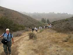 IMG_8041.jpg