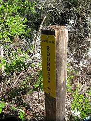 IMG_8145.jpg
