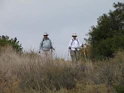 IMG_8276.jpg