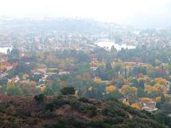 IMG_8280.jpg