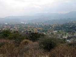 IMG_8283.jpg