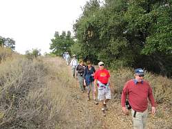 IMG_8290.jpg