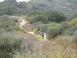IMG_8293.jpg