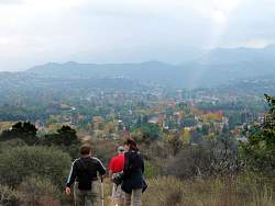 IMG_8295.jpg