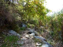 P1090200.jpg
