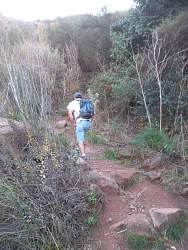 SAM_0590.jpg