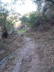 SAM_0594.jpg