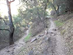 SAM_0597.jpg