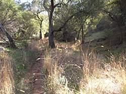 SAM_0625.jpg