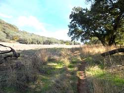 SAM_0626.jpg