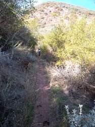 SAM_0631.jpg