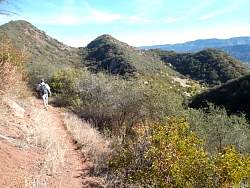 SAM_0633.jpg