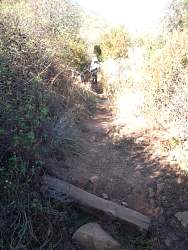 SAM_0636.jpg