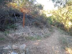 SAM_0638.jpg