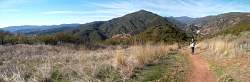 sam_0606pan.jpg