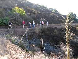 IMG_8347.jpg
