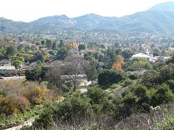 IMG_8352.jpg