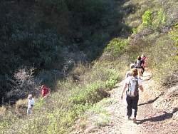 IMG_8367.jpg
