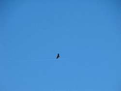 IMG_8369.jpg