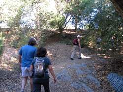 IMG_8400.jpg