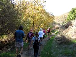 IMG_8421.jpg