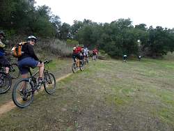 P1030546.jpg