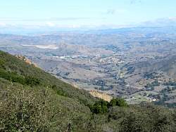 IMG_8484.jpg
