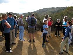 IMG_8540.jpg