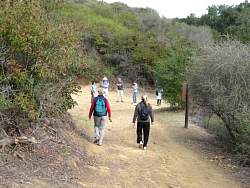 IMG_8557.jpg