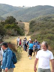 IMG_8561.jpg