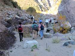 IMG_8766.jpg