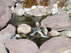 IMG_8772.jpg