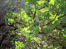 IMG_9206.jpg