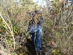 IMG_9471.jpg