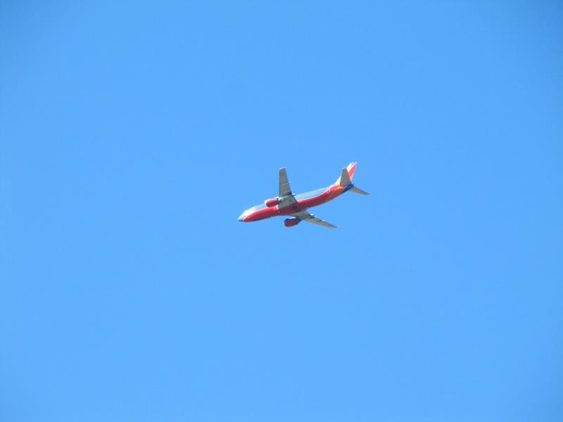 IMG_9599.jpg
