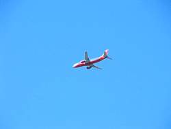IMG_9599.jpg